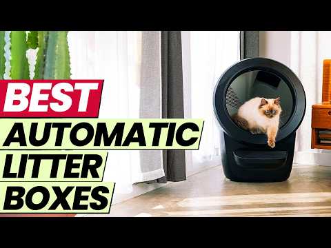 Best Automatic Litter Boxes 2026