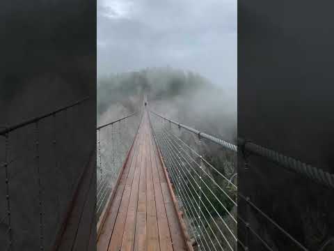 Canada's highest suspension bridge 😮😍 #beaut 