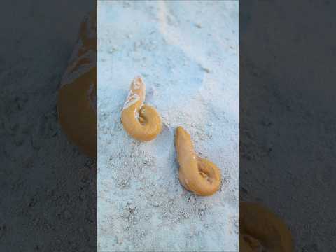 Dil Lagana Mana Tha || || Real Voice | Ytshorts || Shorts || Krish, Kishore x India Real Voice