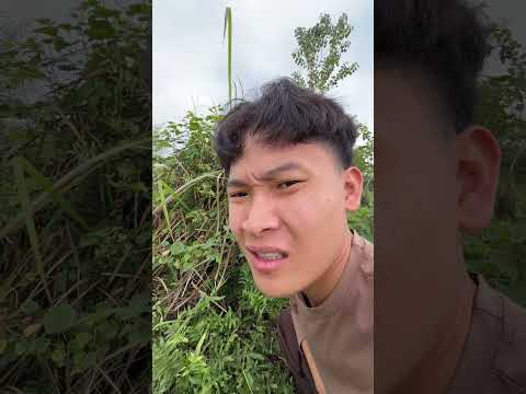 Thử thách ăn tết sinh tồn ngoài đồng