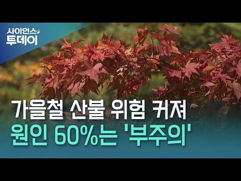 단풍철 산불 주의...산불 원인의 60% '부주의' / YTN 사이언스
