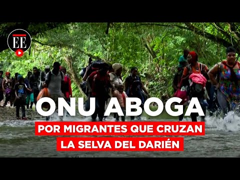 ONU pide controlar rutas del Darién para migrantes de Colombia a Panamá | El Espectador