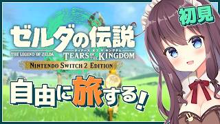 【ティアキン】自由な世界で寄り道大好き！初見【ゼルダの伝説ティアーズオブザキングダム 女性実況 VTuber なちゅモカ】157