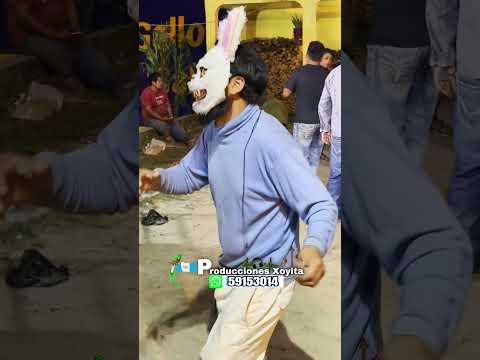 No te vayas amor - Familia Musical