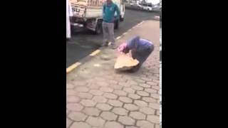 بالفيديو.. مصري يحمل كيس شعير 50 كيلو بأسنانه!!