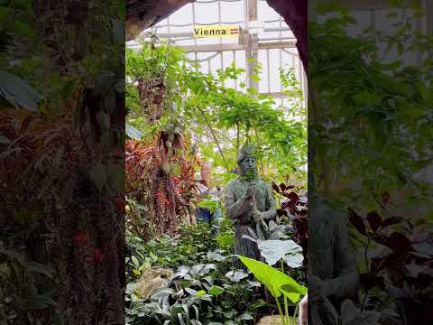 A tropical paradise hidden in Vienna 🇦🇹Have you been here before?#vienna #austria #travelvienna