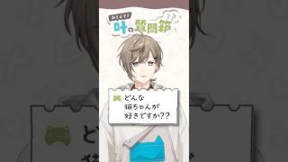 叶の質問箱＃05「どんな猫ちゃんが好き？」
