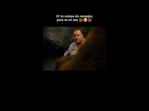 Psicólogo, coach  y oso, todo en uno 🐻🧠 #ElGuardiánDelZoológico #KevinJames