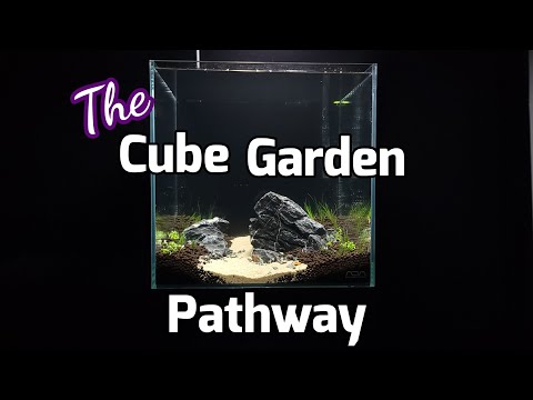 The Cube Garden Pathway (Aquascape Tutorial) Come along with me Majestic Cichlids on this aquascape tutorial and let's create something fun! 

If