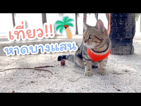 เที่ยว🛵-ชายหาดบางแสน-เว้นระยะห เที่ยว🛵-ชายหาดบางแสน-เว้นระยะห