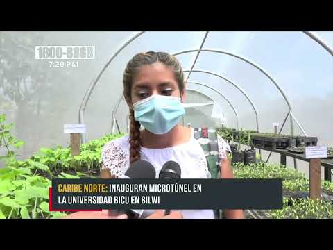 Inauguran micro túnel en la Universidad Bicu en Bilwi, Caribe Norte - Nicaragua