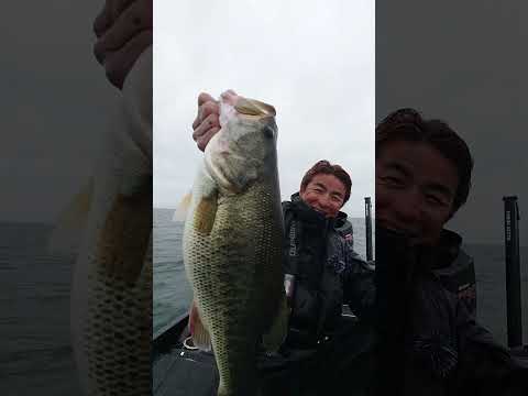 奥田さん的に、これぞ最高の１尾！ #shorts