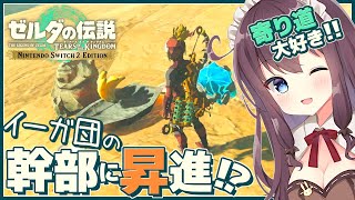 【ティアキン】発見だらけの寄り道大好き！初見【ゼルダの伝説ティアーズオブザキングダム Switch2 女性実況 Vtuber なちゅモカ】1