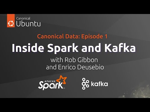 Canonical Data Episode 1: Inside Spark and Kafka with Rob Gibbon and Enrico Deusebio