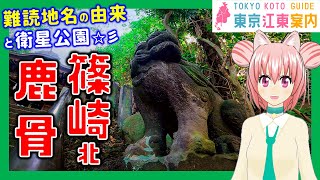 【どんな街？】東京江東案内 第53回 篠崎（北側）・鹿骨編【東京城東エリア紹介】