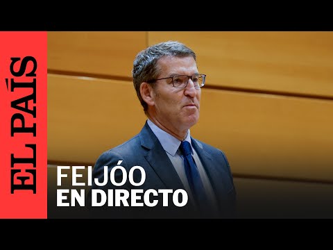 DIRECTO | Feijóo explica su postura sobre la reforma del artículo 49 de la Constitución | EL PAÍS