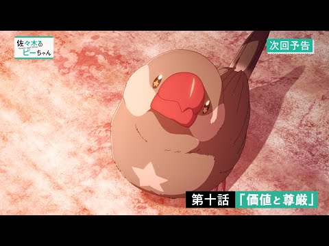 TVアニメ「佐々木とピーちゃん」第10話『価値と尊厳』WEB予告
