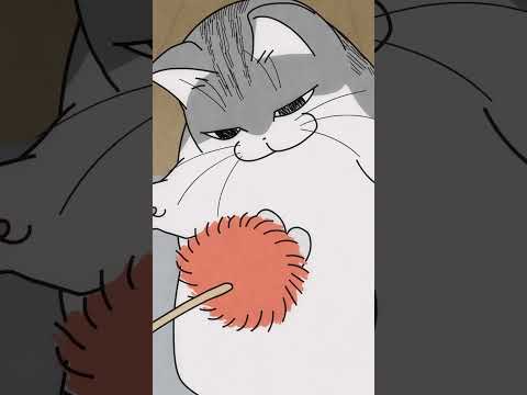 猫の動画サムネイル - いつもと違うネコじゃらし