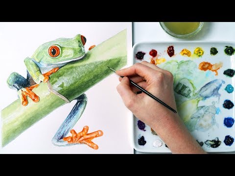 How to paint a realistic tree frog in watercolor with Anna Mason