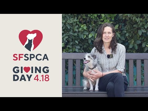 SF SPCA Annual Giving Day