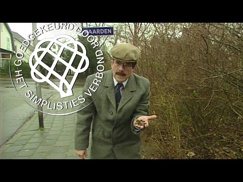 Het officiële Koot&Bie-kanaal