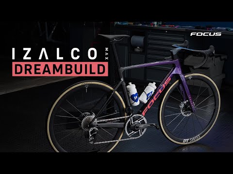Focus x TAN Dreambulid