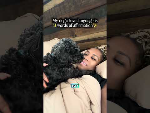 Dogs have love languages too 🤣 #dogshorts #dogmom #rescuedog ￼#puppies