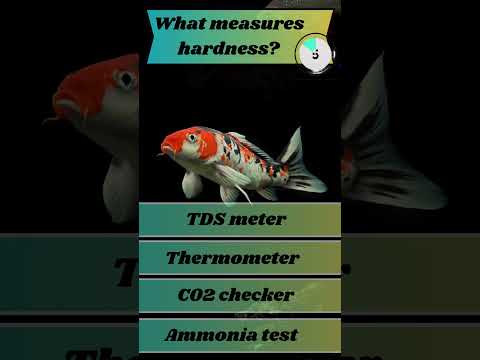 What Measures aquarium hardness? 🐡 Channel Sponsor Buceplant - http_//tinyurl.com/3fu6xckd They have an amazing selection of plant