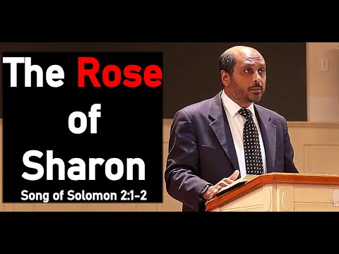 The Rose of Sharon - Song of Solomon 2:1-2 - Pastor Rom Prakashpalan Sermon