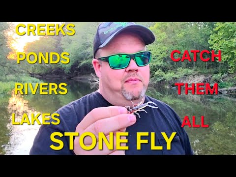 Stone Fly Fishing! How to Rig Ultra Small Plastics!
