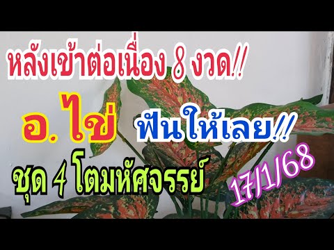 หลังเข้ามา8งวด!!อ.ไข่ฟันให