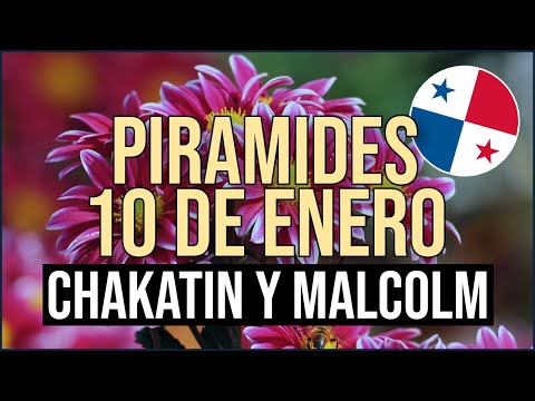 Pirámide Lotería de Panamá Miércoles 10 de Enero 2024  Pirámide de Chakatin y Malcolm Ramos