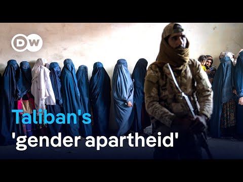 Better to agree to Taliban conditions for talks than not to talk at all? | DW News