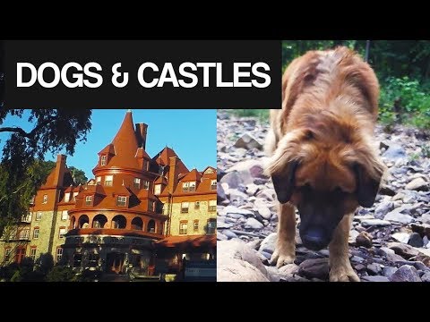 Dogs & Castles - (so we too vlog #7) | Pennsylvania Edition
