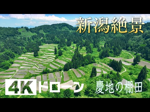 「そらなび」慶地の棚田（十日町市） 2025年6月21日放送回