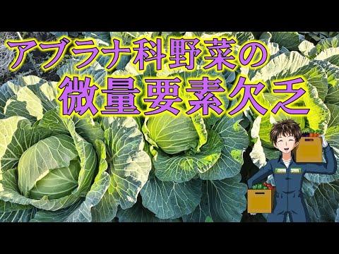 【微量要素欠乏】頻繁には起きないけど、念のため予防しておきましょう。