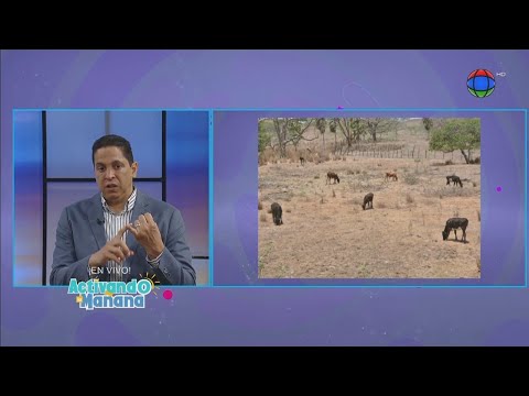Dr. Hector Balcacer explica las enfermedades que trae como consecuencia la sequía