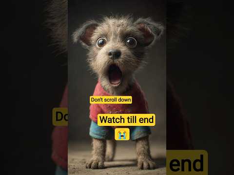 the poor puppy no have good uniform and school bag.so his rich friend making fun of him #animahal