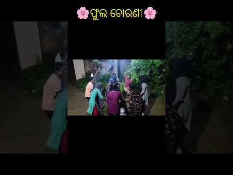 ଫୁଲ ଚୋରଣୀ ...🌸 ମାନଙ୍କ କି Dance 👍😅...