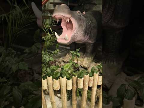 Artificial Animals 😍 Hippo And Zebra