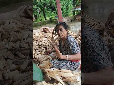 Amaka ramaila gaf.😍