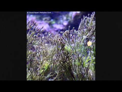 97 Sound Signal - Refraction Choir (Full Album 2026)