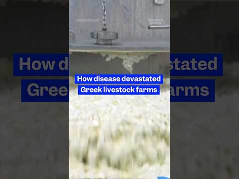 The #livestock crisis driving up the price of #Greek #feta. #bigbusiness #cheese #poxoutbreak