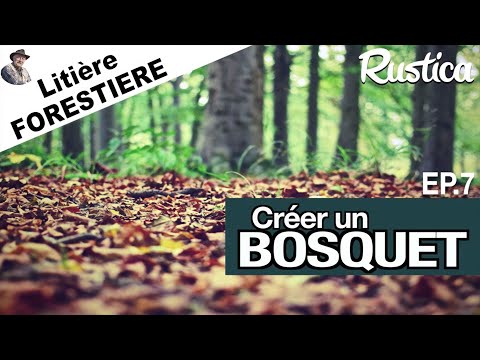 Créer un bosquet – 7 : Litière forestière