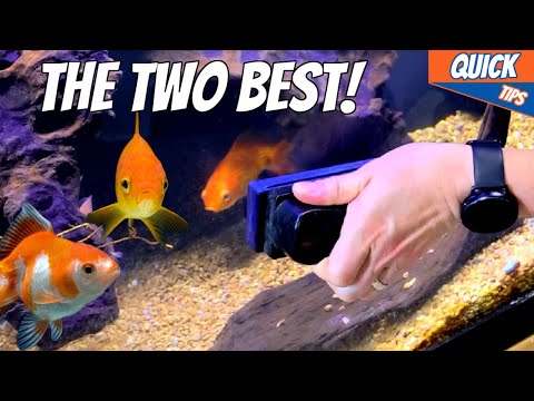 The Best Algae Removing tools For Your Aquarium! 👨‍👨‍👧‍👦 Get all the extra benefits by becoming a channel member. https_//www.youtu