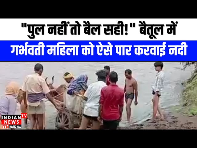 Baitul News : "पुल नहीं तो बैल सही! बैतूल में गर्भवती महिला को ऐसे पार करवाई नदी" | Indian Tv News

#bollywoodactor #bollywood #bollywoodcelebrity #bollywoodfashion #bollywoodnews #entertainmentnews #indiancinema #indianentertainment #itnfilmy #bollywoodstyle