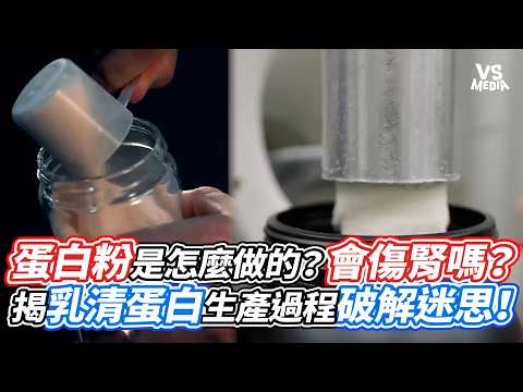 蛋白粉是怎麼做的？會傷腎嗎？揭乳清蛋白生產過程破解迷思！｜VS MEDIAｘ@Kai-coach.singer