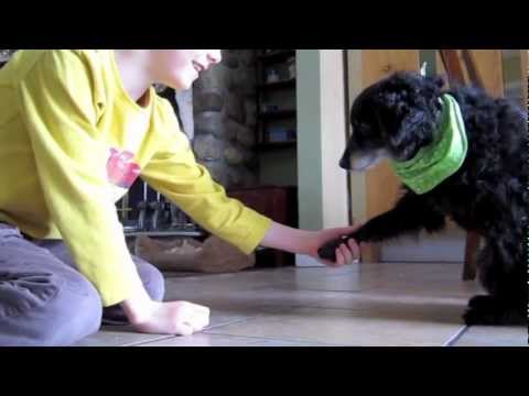 CUTEST dog trick video with rescue dog and kid 