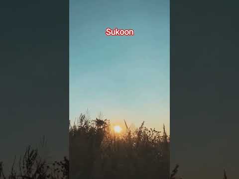 West short video on YouTube realistic video 📷#Shorts  #YouTubeShorts  #ShortsVideo  #TrendingShorts