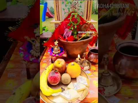 1 नवम्बर 2025 तुलसी विवाह देवउठनी एकादशी #garden #tulsi #ytshort #gardenplants